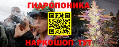дмт Будённовск