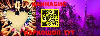 дмт Будённовск