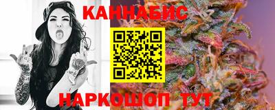 дмт Будённовск